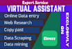 be your virtual assistant for data entry