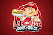 design a mascot cartoon logo wordmark and pictorial mark