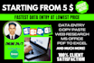 do fastest data entry professionally at low price