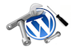 resolve WordPress issue/concern