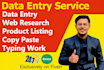 do data entry, copy paste, typing, pdf to excel, email leads, and data scraping