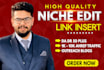 provide niche edit blogger outreach dofollow SEO backlinks
