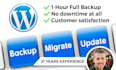 backup, migrate and update your wordpress super fast
