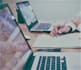 assist you in business management, human resource task work