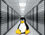solve linux centos ubuntu servers related problem