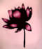 draw a flower