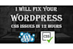 fix your wordpress header, footer, layout, responsive or css issues in 12 hours