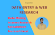 do flawlessly data entry job and web research, data mining