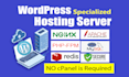 setup high performance wordpress and web hosting server