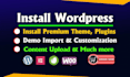 install wordpress premium theme, plugins, demo import and customisation