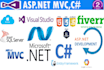 create a custom windows software