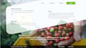 do software development projects