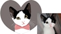draw your pet with my style