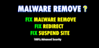 remove malware and any website issue
