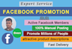 promote any business by facebook to a large audience