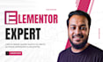 be your professional elementor expert for wordpress website or landing page