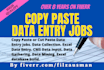 complete any type of copy paste or cut paste data entry jobs