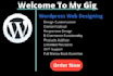 build full website creation in 48 hours