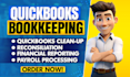 do setup, quickbooks online and xero bookkeeping, clean up, bank reconciliation