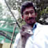 write veterinary articles and pet animal care blog