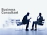 provide you with business consulting services