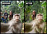 remove unwanted people or objects from your photos
