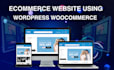 develop wordpress ecommerce website, online store, business website