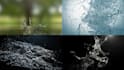 create 5 eye catching water splash logo animation