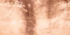 create abstract grunge pattern background design