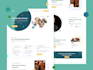 design ui ux website mobile app ui design in figma