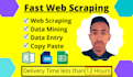 do web scraping, web scraper, data entry, and data mining in 12 hours