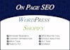 do complete wordpress website and shopify store on page SEO