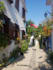 help you plan your citta slow holiday in sigacik, izmir