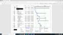 provide microsoft project schedule gantt chart timeline