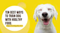 write an engaging pet dog blog and article of 500 words in 24 hours