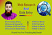 provide assistance in web research and data entry