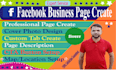create, design and optimize a facebook business page