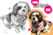 drawn detailed scribble pet portait
