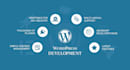 repair, develop, and redesign professional wordpress websites