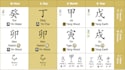 identify your strength and wealth luck using bazi