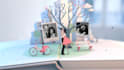 create your wedding album in 3d