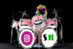 do this funny dj dog playing drum video ad