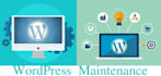 maintain your wordpress site for a month