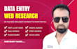 professional data entry and web research expert