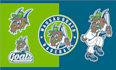 design custom cartoon mascot logo for your sports team, brand, club or college
