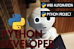 python script, code, automation tasks