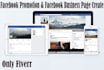 do professional facebook marketing and business  promotion