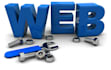 fix any issue with your website/blog