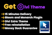 install divi theme, plugins with an API key for lifetime updates