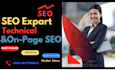 performs  google top ranking by  professionally